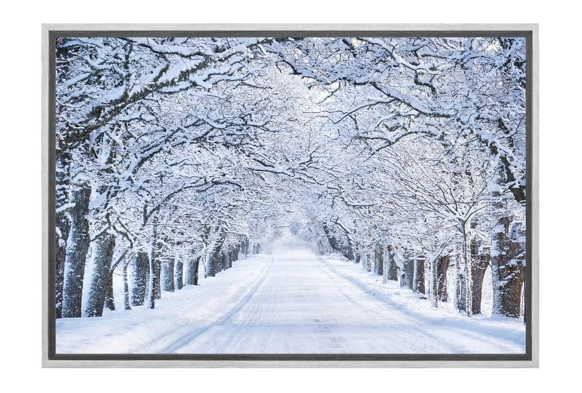 Avenue Of Snow Covered Trees | Canvas Wall Art Print