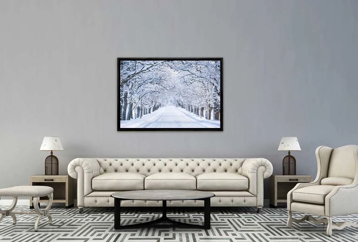 Avenue Of Snow Covered Trees | Canvas Wall Art Print