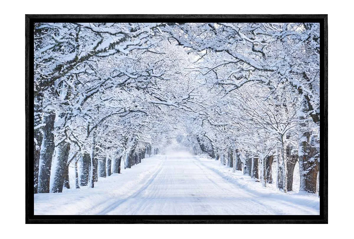 Avenue Of Snow Covered Trees | Canvas Wall Art Print