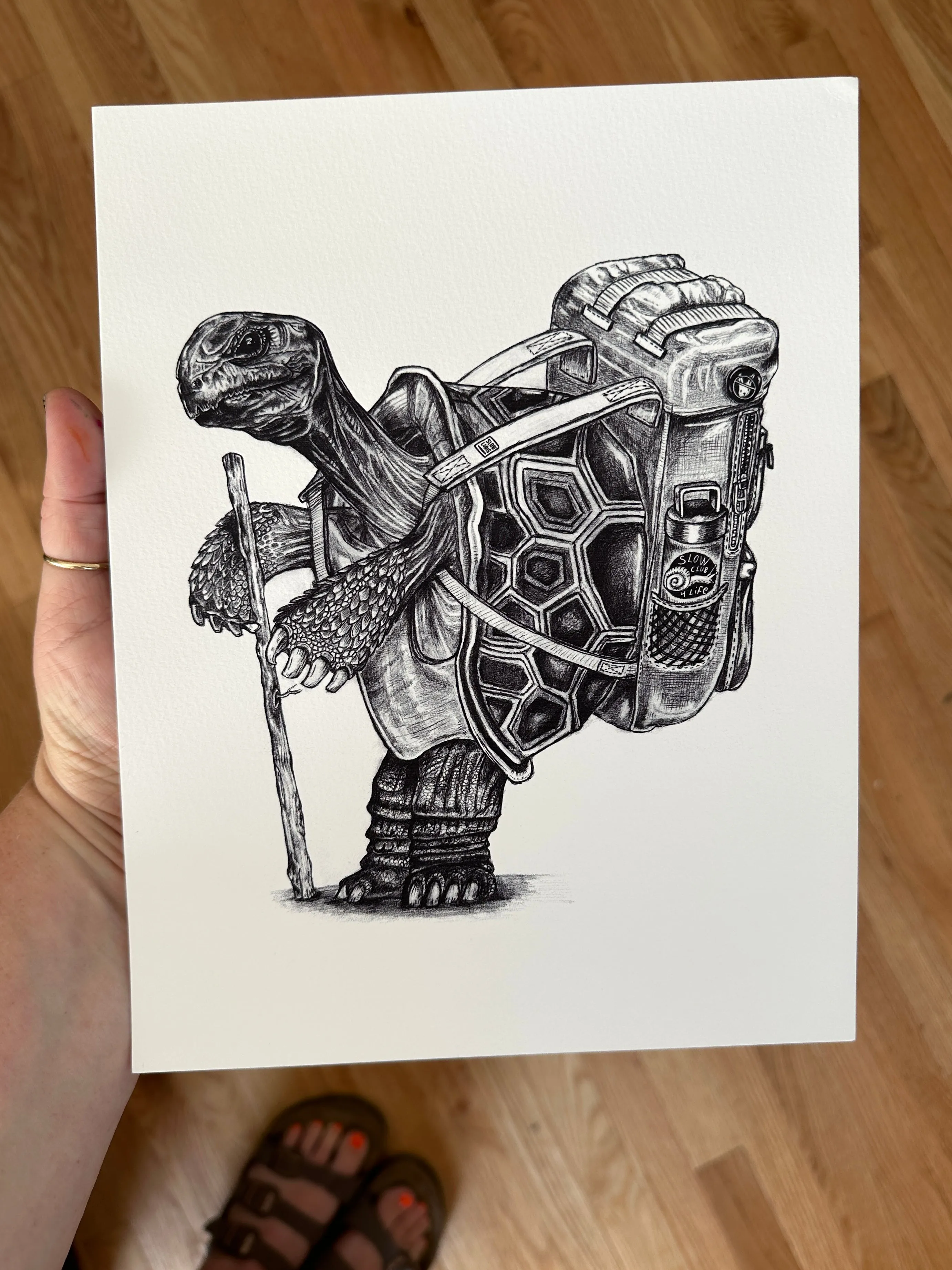 Hiking Tortoise Art Print