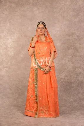 Orange Aari Sequins work Poshak